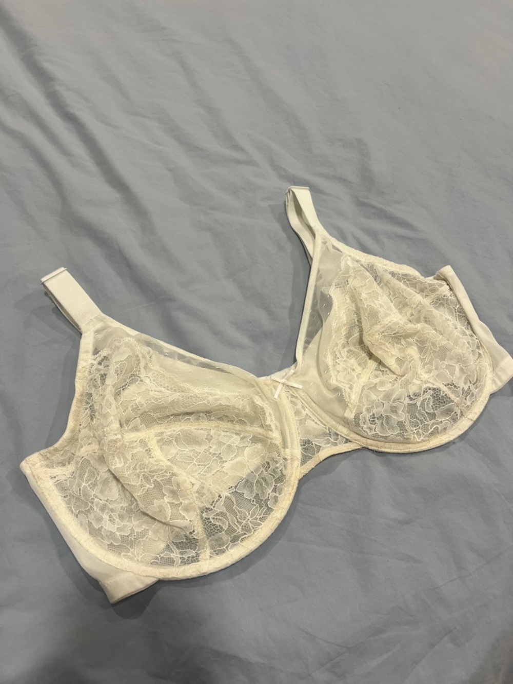 Lace Underwire Bra in Cream - Women's Intimates